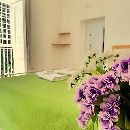 公寓 Terrazza Viviani 那不勒斯